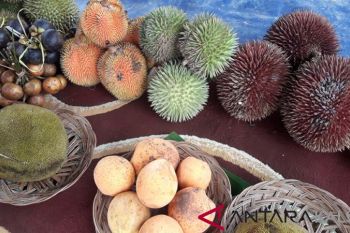 Pemkab Balangan apresiasi festival buah lokal Kalsel