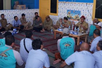 Pati miliki pembenihan ikan nila salin