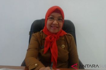 RSUD Baubau rasionalisasi tenaga perawat Non-PNS