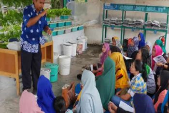 Puluhan Ibu di Pangkalan Kerinci Ikuti Pelatihan Hidroponik