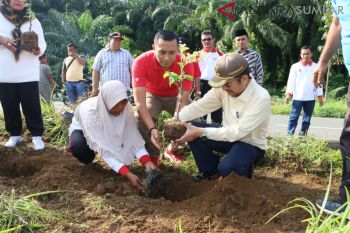 Pemkab Pasaman Barat tanam bunga di sepanjang jalan protokol