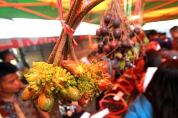 Festival buah lokal