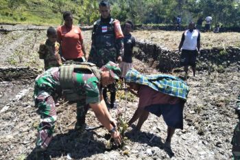 Dandim Puncak Jaya serahkan bantuan bibit sayur kepada warga Kampung Usir