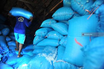 Harga Garam Industri Turun