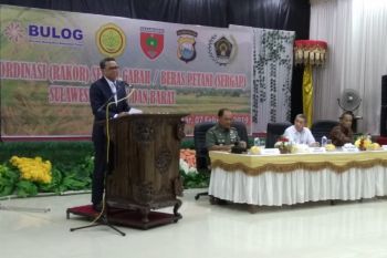 Gubernur Sulsel siapkan Pergub dukung cadangan pangan