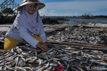 HARGA IKAN ASIN MELONJAK