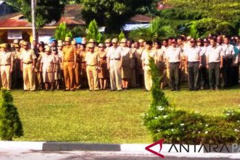 Pemkab Biak Numfor validasi administrasi ratusan jabatan struktural