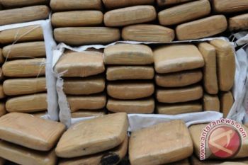 Pengiriman 72 kg ganja digagalkan polisi
