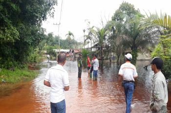 BPBD Kotim imbau masyarakat waspada banjir