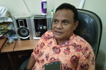 Kasus DBD di Kabupaten Merauke terbanyak di Papua