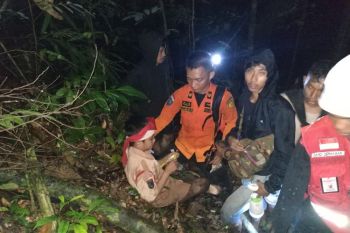 Basarnas temukan 23 Pramuka tersesat di hutan Kolaka