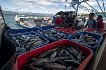 ISPIKANI Sulteng siap kolaborasi di sektor kelautan dan perikanan