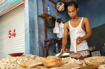 Rajin makan nangka muda cegah kanker usus besar