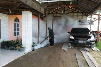 Demam berdarah renggut nyawa bayi, Dinas Kesehatan Kotim lakukan ini