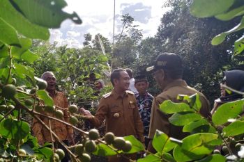 Palangka Raya lirik pengembangan sektor agro wisata
