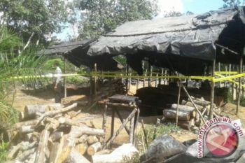 Tambang minyak ilegal di Lintas Timur Sumatera, Polda Jambi tangkap 10 penambang