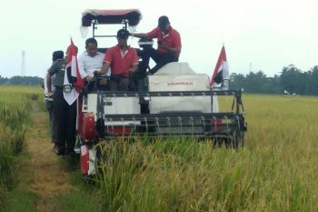 Jaga stok gabah, Tim Sterad pantau panen padi di Cilacap