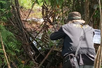 Usulkan lokasi KEE, BKSDA Agam data populasi buaya muara