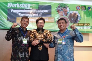 Membangun Sulteng dengan mengintegrasikan pariwisata-perikanan