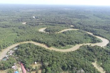 Atasi banjir, pemkab Barito Utara kaji bangun bendungan sungai