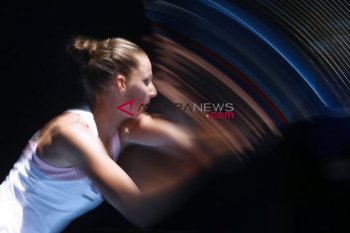 Karolina Pliskova mundur dari Qatar Terbuka