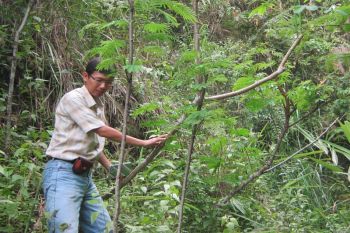 Mitigasi bencana longsor perlu peran pemerintah dan masyarakat