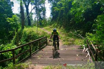 Menteri Rini Direncanakan Hadiri "Chocolate Glenmore Run" di Banyuwangi