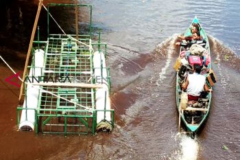 BKSDA masih pasang perangkap buru buaya Sungai Seranggas