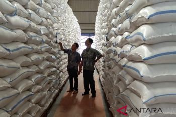 Stok beras Bulog Pekalongan 28.000 ton, harga bakal stabil