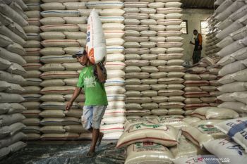 Kementan: Produksi Beras Hingga Maret 14,29 Juta Ton