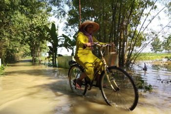Air Bengawan Solo di Hilir Jatim Naik