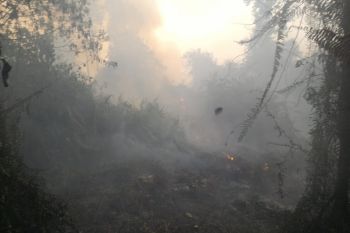 Kebakaran Lahan Membara Tak Jauh dari Perkampungan Suku Sakai, Riau