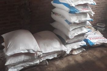 Pemkab Kudus pastikan pupuk bersubsidi cukup