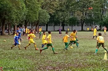 SSB Sumsel khawatirkan kasus PSSI berdampak pada pembinaan atlet
