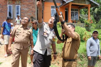 Warga Talawi Sawahlunto galakkan olahraga berburu berantas hama tupai