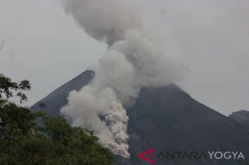 Gunung Merapi luncurkan awan panas guguran 1.100 meter