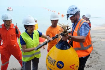Pembangunan Kabel Laut Australia-Indonesia-Singapura Selesai, XL Axiata Pastikan Kemampuan Jaringan Data Meningkat