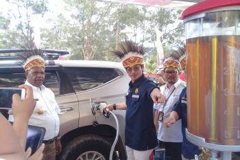 Dirjen Ketenagalistrikan Kementerian ESDM resmikan APMS satu harga di Jayawijaya