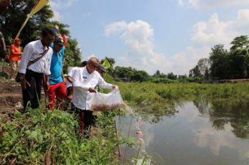 Bantul optimalkan potensi lokal dalam pembangunan daerah