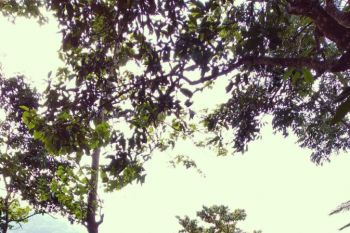 Mengenal Desa Setanggor, desa wisata Lombok Tengah