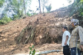 40 hektare persawahan di Agam terancam kekeringan