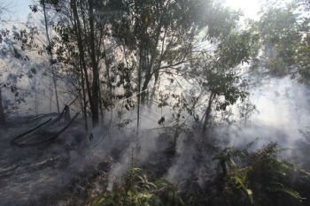 BMKG Deteksi 54 titik panas di Riau