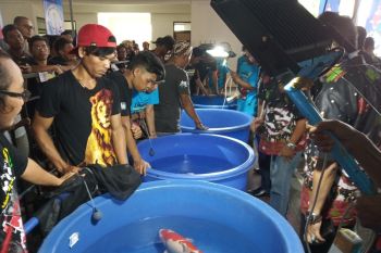 Kontes Koi Nasional Diharapkan Geliatkan Ekonomi Kota Madiun