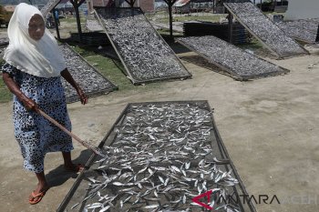 Produksi ikan olahan meningkat