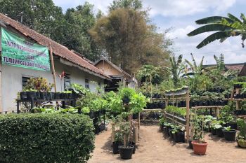 Kampung Iklim ajak masyarakat siap hadapi perubahan iklim