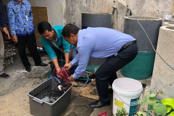 Yogyakarta siapkan pendampingan pengolahan lele