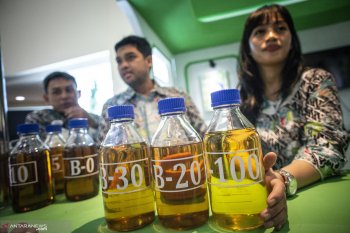 GAPKI: penyerapan biodiesel sawit strategi hadapi diskriminasi UE
