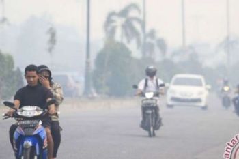 Thousand of Riau residents suffer respiratory problems due to haze