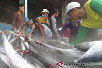 Produksi perikanan tangkap laut di Pati turun