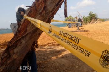 Mendorong Negara Berantas Pertambangan Bauksit Ilegal